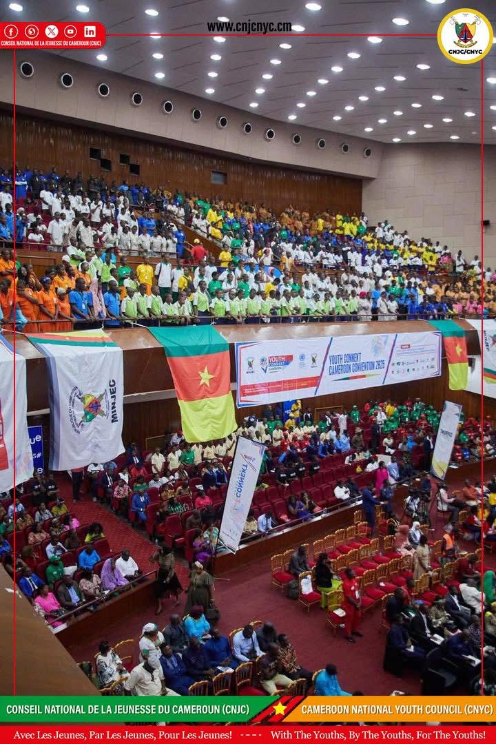 Insertion économique, employabilité et entrepreneuriat des jeunes