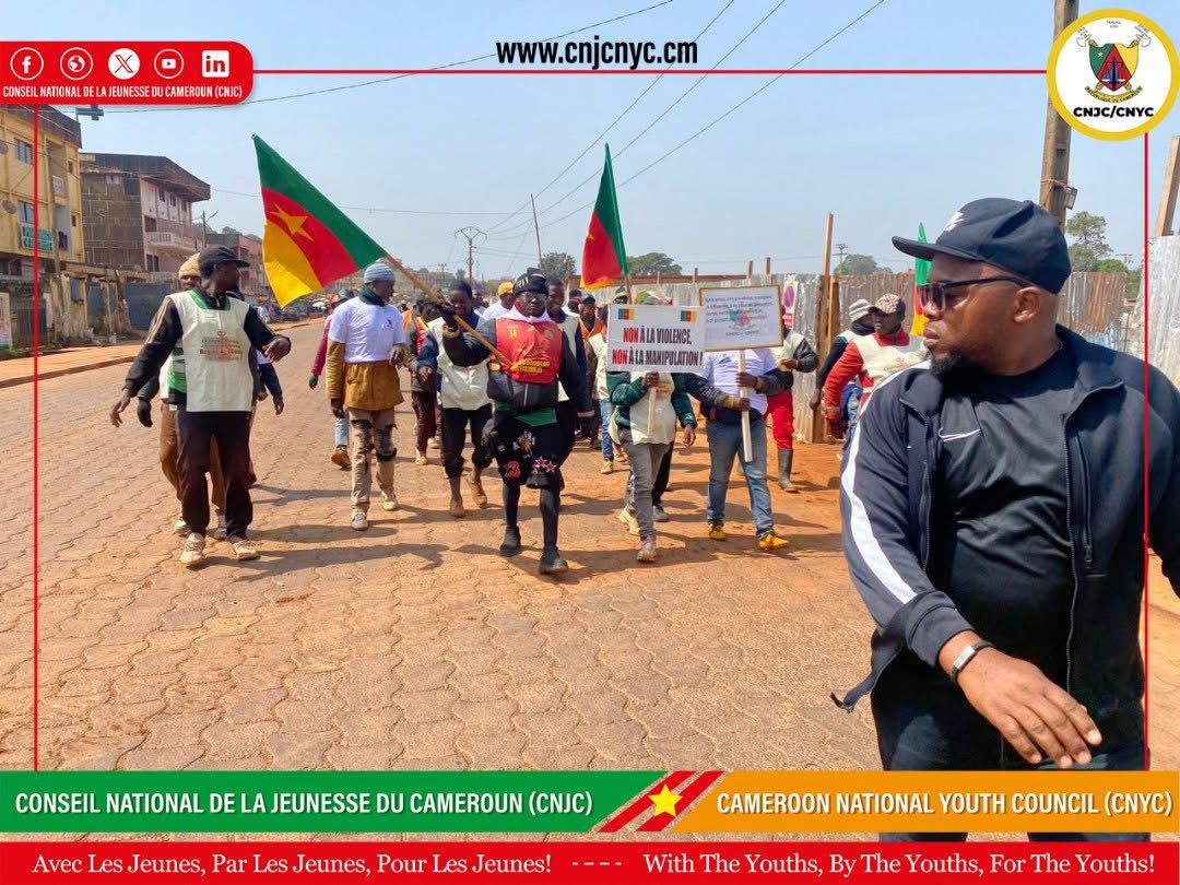 Plan spécial de promotion de l’emploi des jeunes gallery image 3